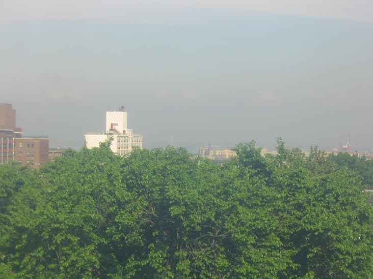 Statue of Liberty From Litchfield Villa, Prospect Park, Brooklyn, May 20, 2004