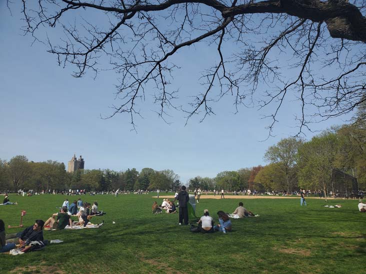 Great Lawn, Central Park, Manhattan, April 20, 2025