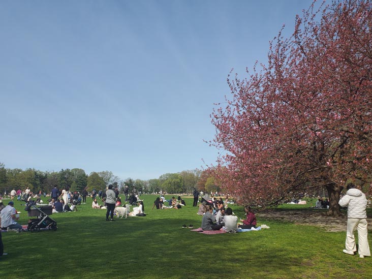 Great Lawn, Central Park, Manhattan, April 20, 2025