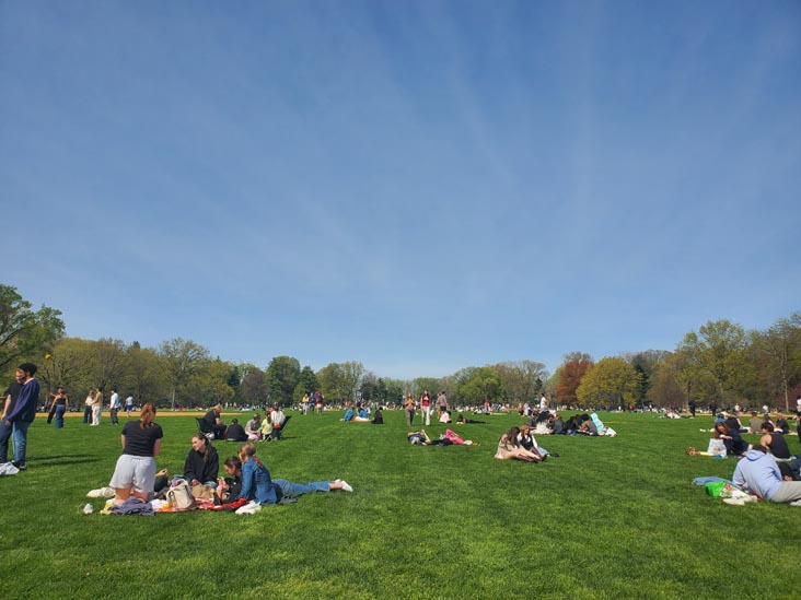 Great Lawn, Central Park, Manhattan, April 20, 2025