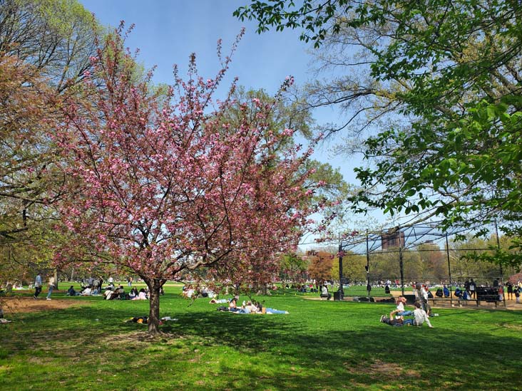 Great Lawn, Central Park, Manhattan, April 20, 2025