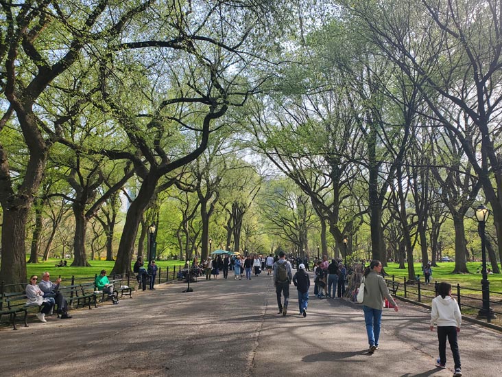 The Mall, Central Park, Manhattan, April 20, 2025