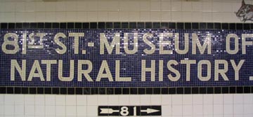 Subway Station Mosaic, 81st Street Station, Upper West Side, Manhattan