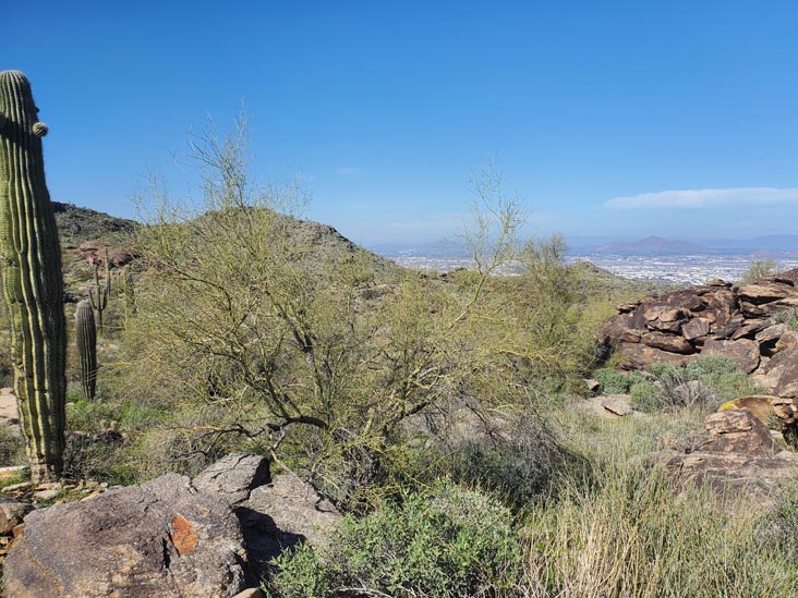 National Trail, South Mountain Park & Preserve, Phoenix, Arizona, February 17, 2024