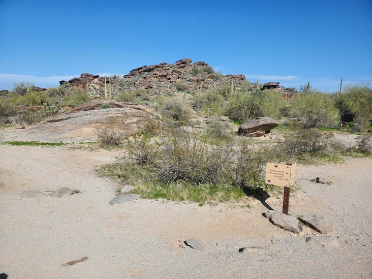National Trail/Mormon Trail Junction, South Mountain Park & Preserve, Phoenix, Arizona, February 17, 2024