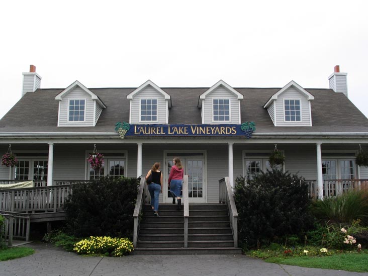 Laurel Lake Vineyards, 3165 Main Road, Route 25, Laurel, New York, October 8, 2005