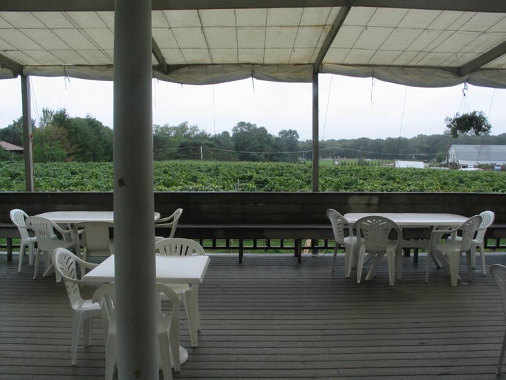 Laurel Lake Vineyards, 3165 Main Road, Route 25, Laurel, New York, October 8, 2005