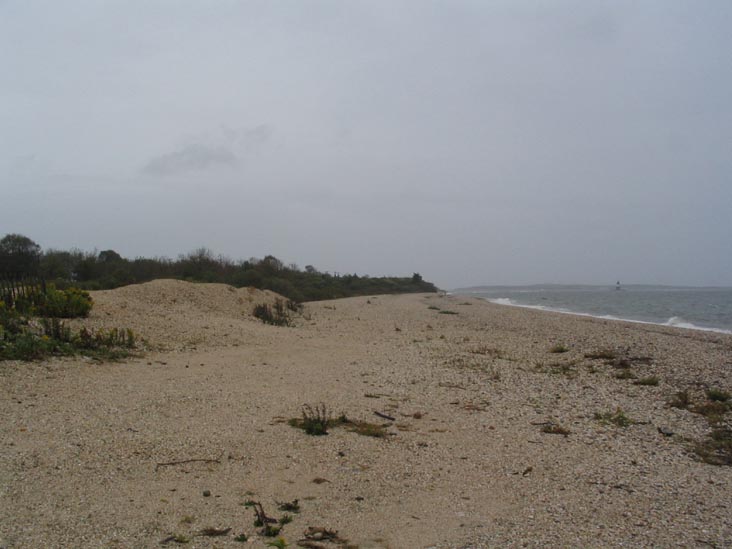 Shore, Orient Point, New York