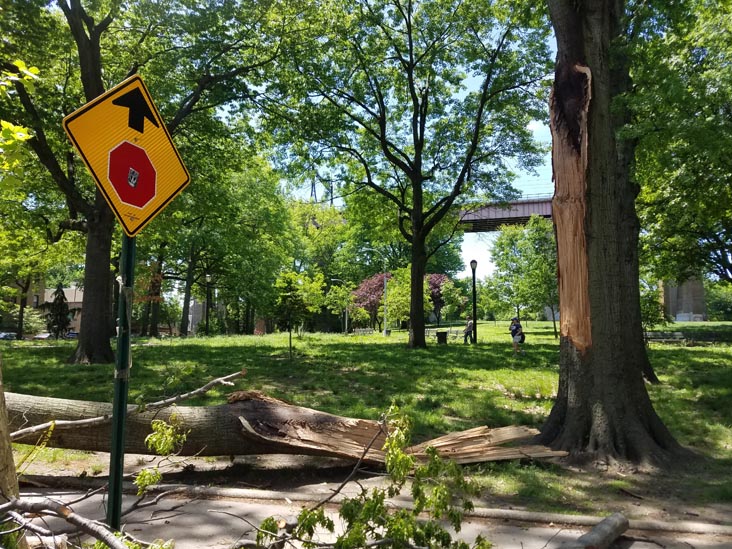Storm Damage, Astoria Park, Astoria, Queens, May 21, 2018