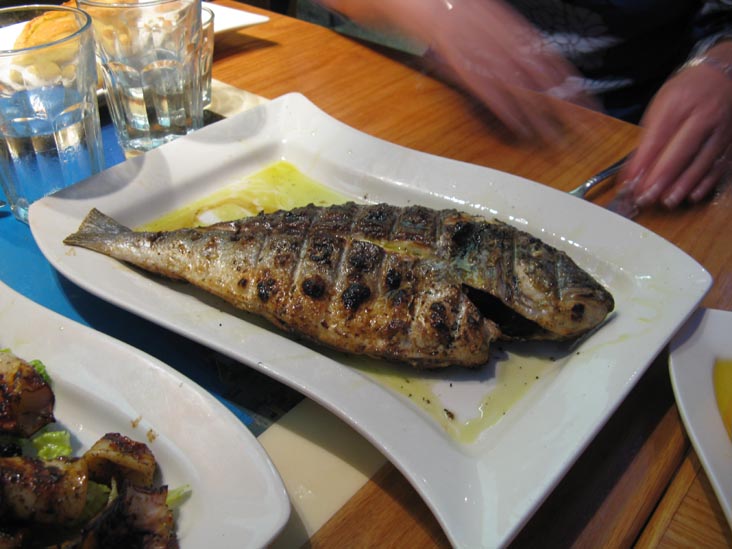 Grilled Fish, Taverna Kyclades, 33-07 Ditmars Boulevard, Astoria, Queens