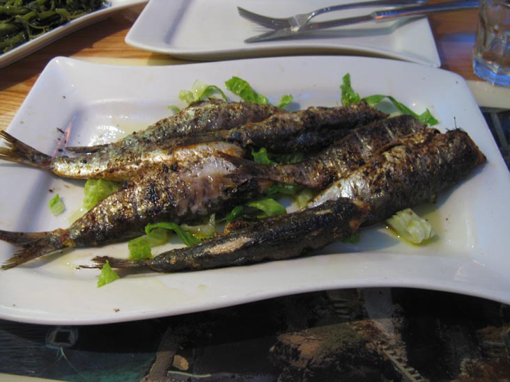 Grilled Fish, Taverna Kyclades, 33-07 Ditmars Boulevard, Astoria, Queens