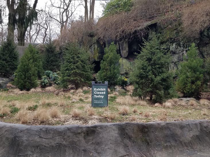 Bronx Zoo, The Bronx, January 11, 2020