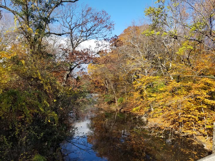 Bronx River, Bronx Park, The Bronx, November 10, 2018