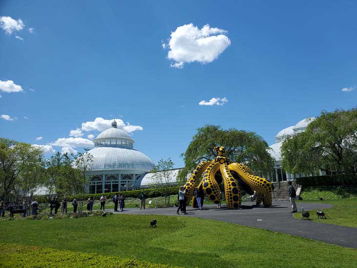 Dancing Pumpkin, Kusama: Cosmic Nature, New York Botanical Garden, Bronx Park, The Bronx, May 13, 2021