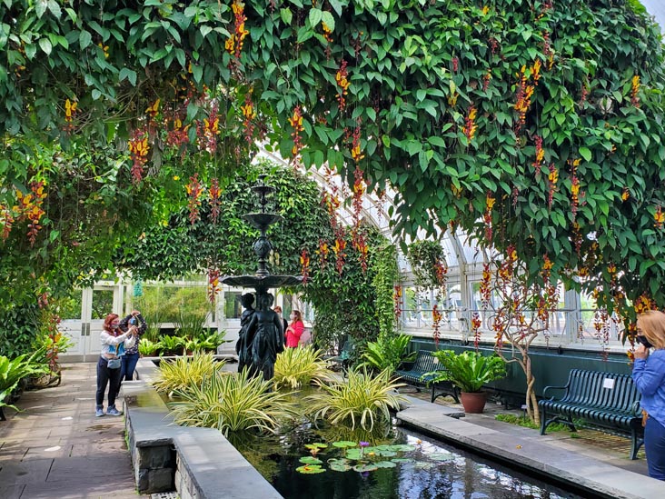 Enid A. Haupt Conservatory, New York Botanical Garden, Bronx Park, The Bronx, May 13, 2021