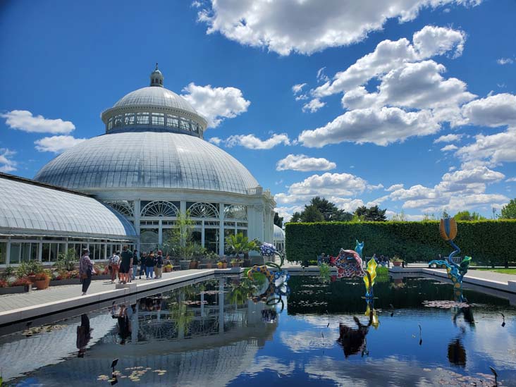 Hymn of Life-Tulips, Kusama: Cosmic Nature, New York Botanical Garden, Bronx Park, The Bronx, May 13, 2021