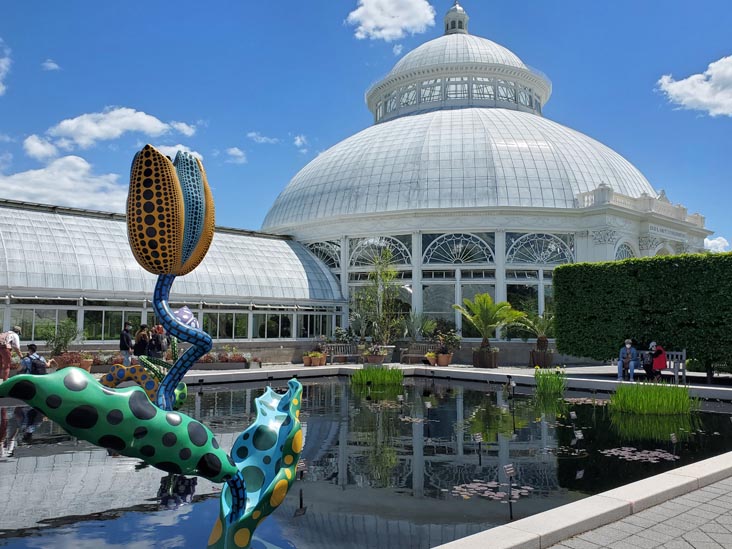 Hymn of Life-Tulips, Kusama: Cosmic Nature, New York Botanical Garden, Bronx Park, The Bronx, May 13, 2021