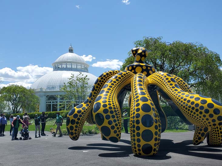 Dancing Pumpkin, Kusama: Cosmic Nature, New York Botanical Garden, Bronx Park, The Bronx, May 13, 2021