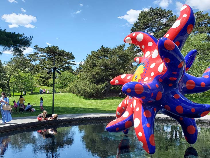 I Want to Fly to the Universe, Kusama: Cosmic Nature, New York Botanical Garden, Bronx Park, The Bronx, May 13, 2021