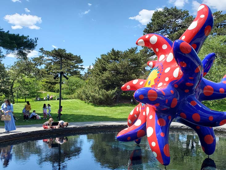 I Want to Fly to the Universe, Kusama: Cosmic Nature, New York Botanical Garden, Bronx Park, The Bronx, May 13, 2021