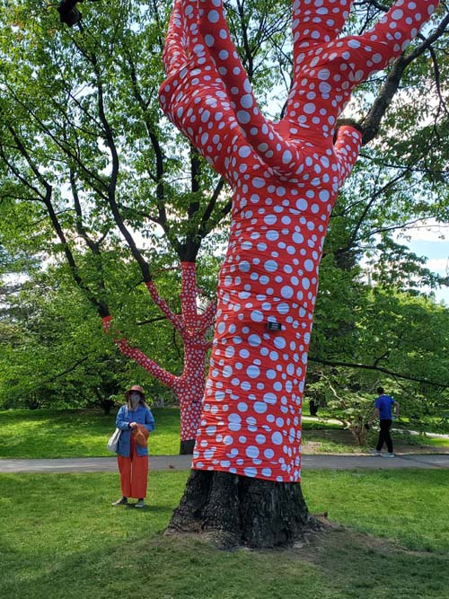 Ascension of Polka Dots on the Trees, Kusama: Cosmic Nature, New York Botanical Garden, Bronx Park, The Bronx, May 13, 2021