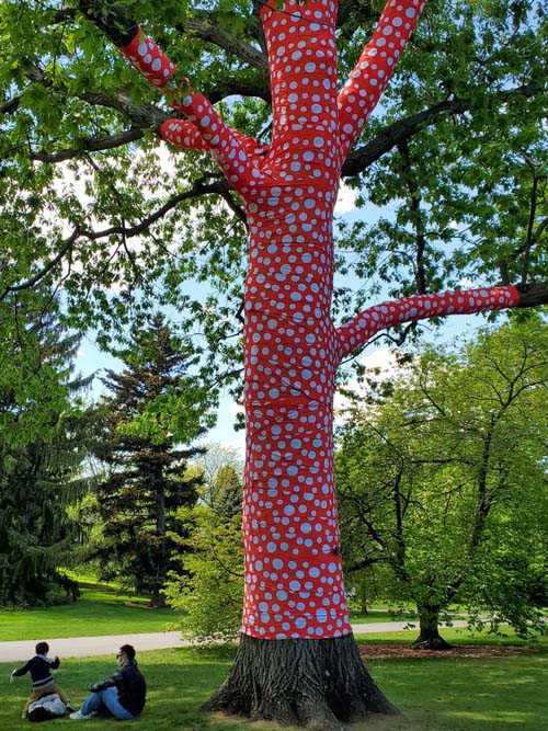 Ascension of Polka Dots on the Trees, Kusama: Cosmic Nature, New York Botanical Garden, Bronx Park, The Bronx, May 13, 2021