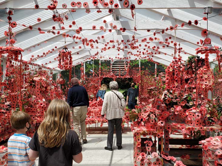 Flower Obsession, Kusama: Cosmic Nature, New York Botanical Garden, Bronx Park, The Bronx, May 13, 2021