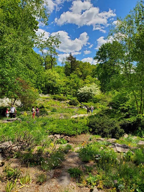 New York Botanical Garden, Bronx Park, The Bronx, May 13, 2021