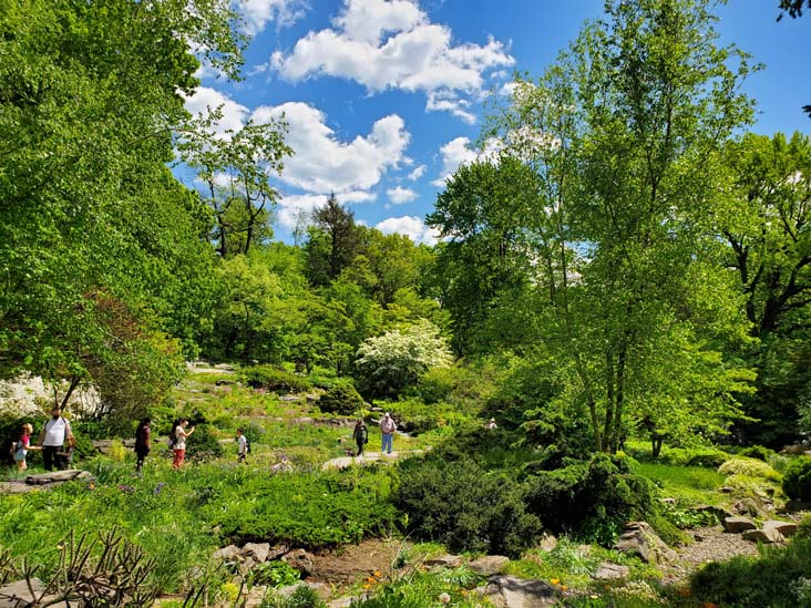 New York Botanical Garden, Bronx Park, The Bronx, May 13, 2021