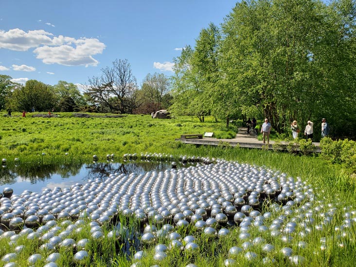 Narcissus Garden, Kusama: Cosmic Nature, New York Botanical Garden, Bronx Park, The Bronx, May 13, 2021