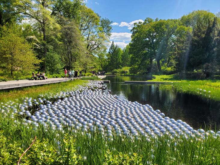 Narcissus Garden, Kusama: Cosmic Nature, New York Botanical Garden, Bronx Park, The Bronx, May 13, 2021