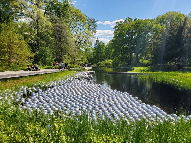 Narcissus Garden, Kusama: Cosmic Nature, New York Botanical Garden, Bronx Park, The Bronx, May 13, 2021