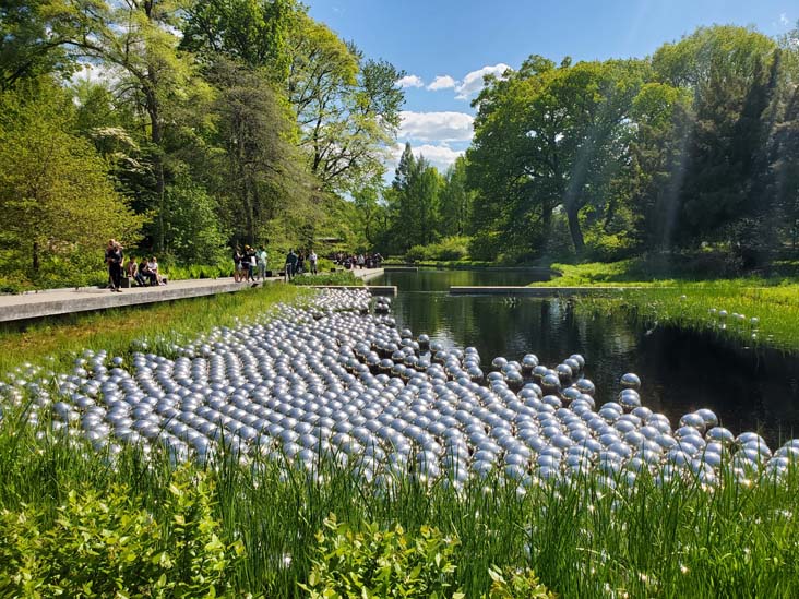 Narcissus Garden, Kusama: Cosmic Nature, New York Botanical Garden, Bronx Park, The Bronx, May 13, 2021