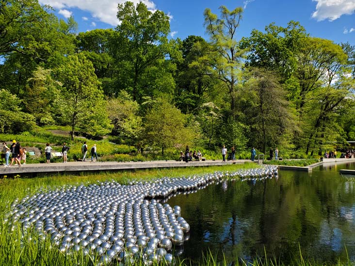 Narcissus Garden, Kusama: Cosmic Nature, New York Botanical Garden, Bronx Park, The Bronx, May 13, 2021