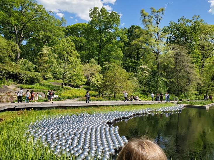 Narcissus Garden, Kusama: Cosmic Nature, New York Botanical Garden, Bronx Park, The Bronx, May 13, 2021