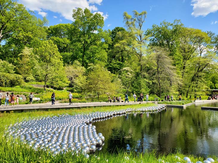 Narcissus Garden, Kusama: Cosmic Nature, New York Botanical Garden, Bronx Park, The Bronx, May 13, 2021