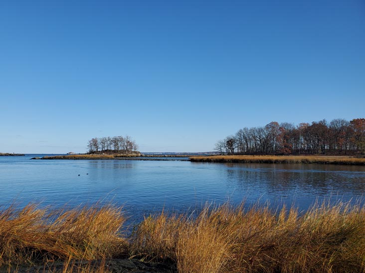 Hunter Island, Pelham Bay Park, The Bronx, November 14, 2020