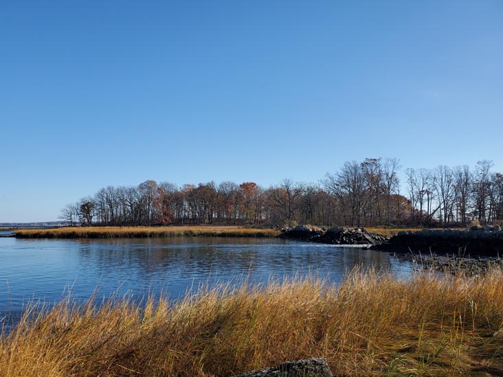 Hunter Island, Pelham Bay Park, The Bronx, November 14, 2020