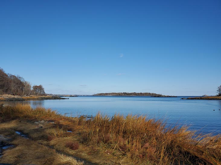 Hunter Island, Pelham Bay Park, The Bronx, November 14, 2020