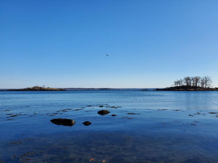 Hunter Island, Pelham Bay Park, The Bronx, November 14, 2020