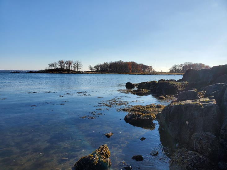 Hunter Island, Pelham Bay Park, The Bronx, November 14, 2020