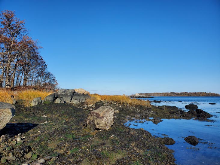 Hunter Island, Pelham Bay Park, The Bronx, November 14, 2020