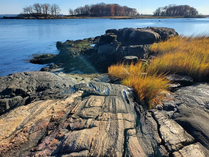 Hunter Island, Pelham Bay Park, The Bronx, November 14, 2020