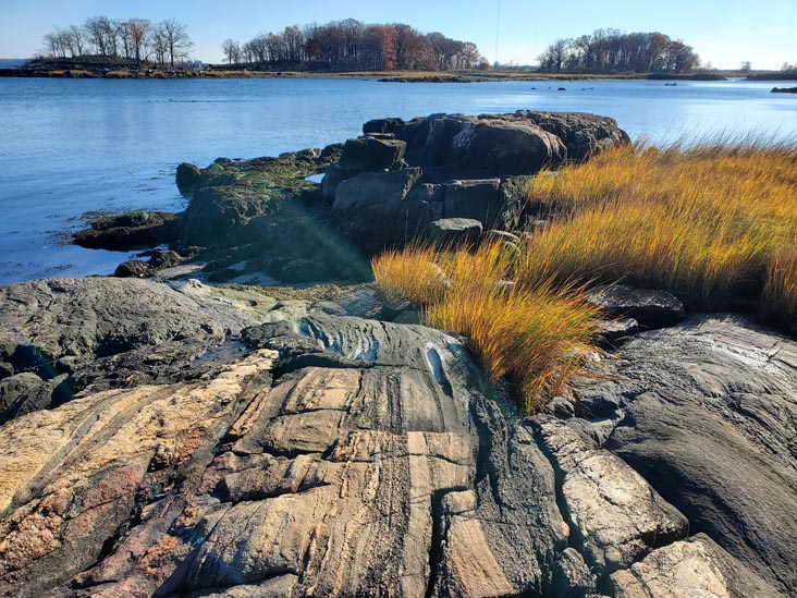 Hunter Island, Pelham Bay Park, The Bronx, November 14, 2020