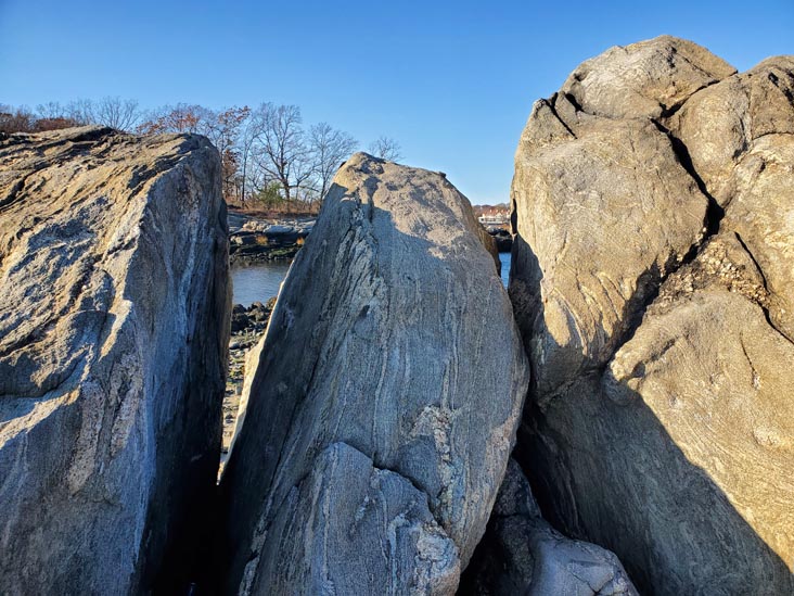 Hunter Island, Pelham Bay Park, The Bronx, November 14, 2020