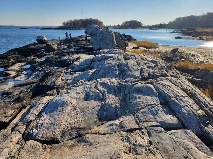 Hunter Island, Pelham Bay Park, The Bronx, November 14, 2020