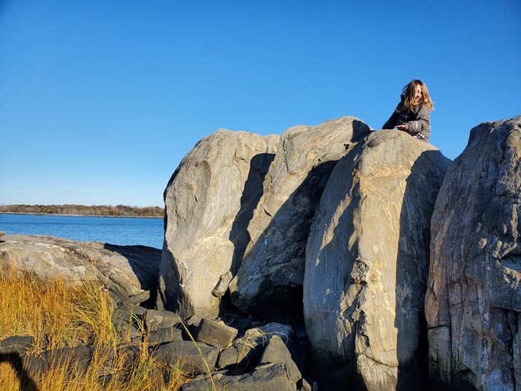 Hunter Island, Pelham Bay Park, The Bronx, November 14, 2020