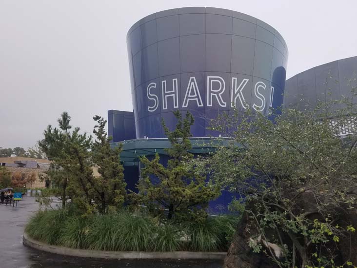 Ocean Wonders: Sharks!, New York Aquarium, Coney Island, Brooklyn, September 11, 2018