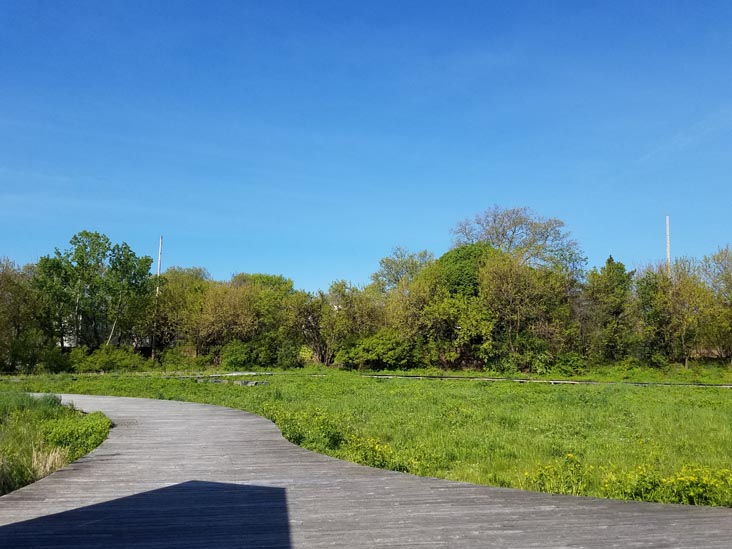 Naval Cemetery Landscape, Brooklyn Navy Yard, Brooklyn, May 14, 2020