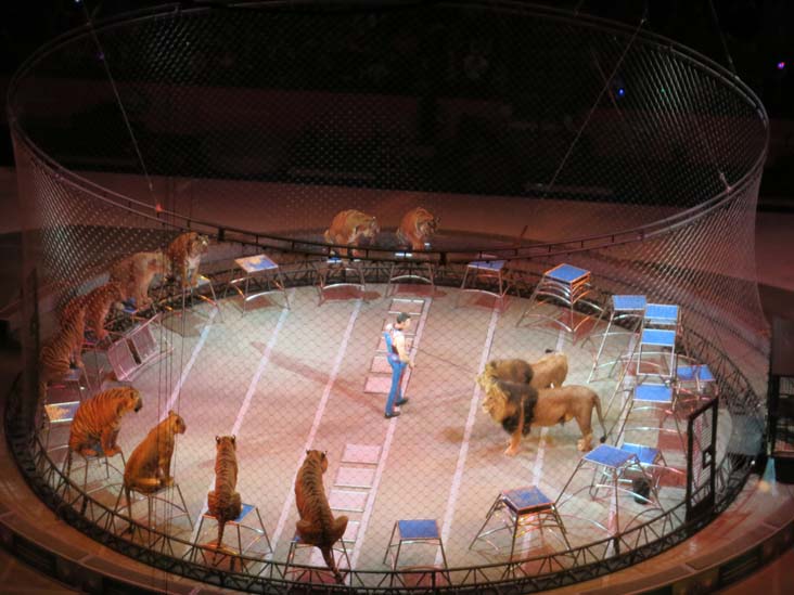 Lion Tamer, Ringling Bros & Barnum and Bailey Circus, Barclays Center, Prospect Heights, Brooklyn, February 24, 2017